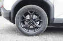 Formula Leopard Titanium 3 Tire