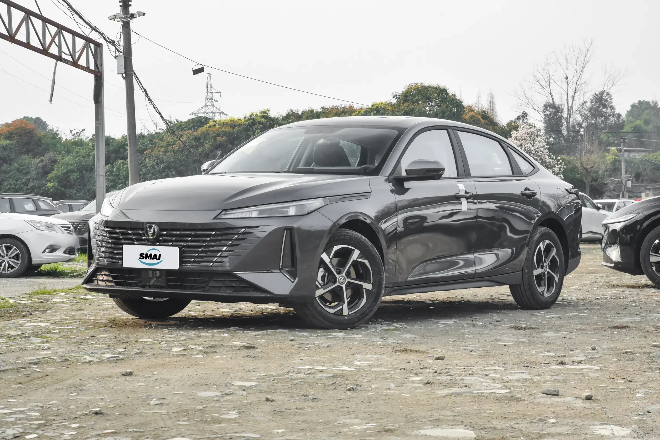 Andes Grey