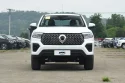 GWM Cannon (Commercial) Front