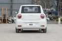 Changan Lumin Back