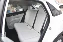 Geely Star Wish Back Seat
