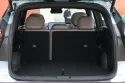 Starray_trunk