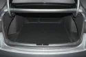 Preface_trunk