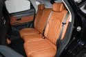 Dashing_back seat