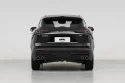 Dashing_rear