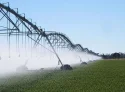 Agricultural Irrigation