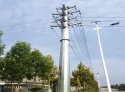 Electrical Power