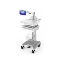 ICU Mobile Visitation Trolley