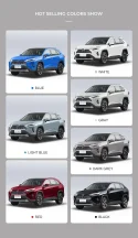 RAV4_06