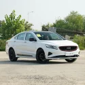 geely borui 白 (5)