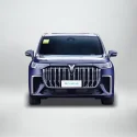岚图梦想家 PHEV 主图紫5