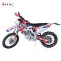 LXT250F enduro (4)