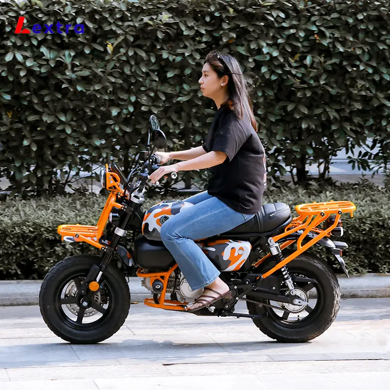 mini motorcycle with Honda monkey style