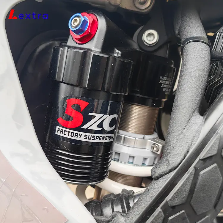 Rear suspension for motorcycle