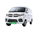 SHINERAY Electric Car X30LEV