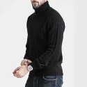 11.3 Men's turtleneck pullover sweater
