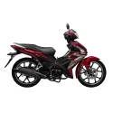 YFY110-2 CUB Bike