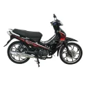 YFY110-8 CUB Bike