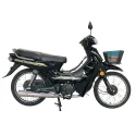YFY110-11 CUB Bike