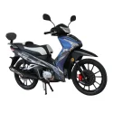 YFY110-12 CUB Bike