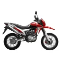 YFY200GY-21 Dirt Bike