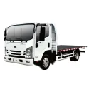 Qingling Pure Electric Flatbed Truck EV100