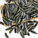 T5 - Sunflower Seeds