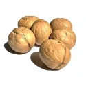 Xin2 Walnuts