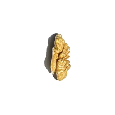 Xin2 Quarter