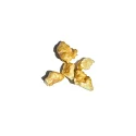 Xin2 Diced