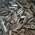 T6 - Sunflower Seeds
