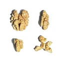 Xin2 Walnuts Kernels