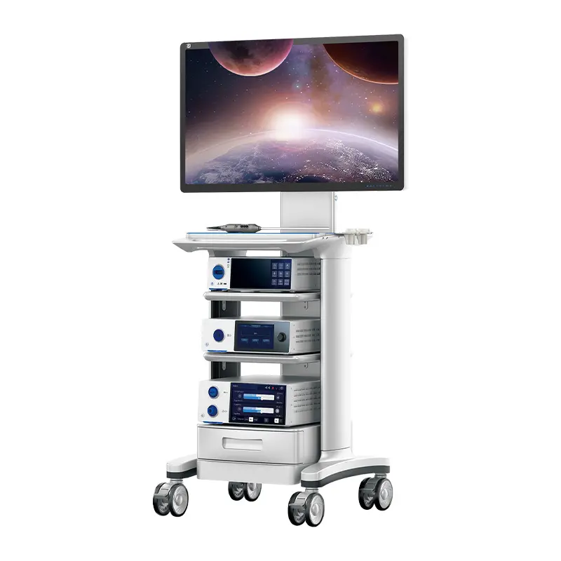 Endoscope