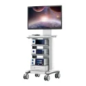 Endoscope
