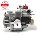 Cummins Fuel Pump 3648010 3899108 BT81A01