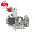 Cummins PT Fuel Pump 4999456 3070123 EV04A01
