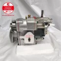 Cummins PT Fuel Pump 3095556 3891201 9666H