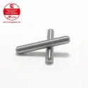 Cummins Injector plunger rod 3062009