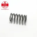 Cummins Injector spring 3042428