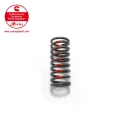 Cummins Speed ​​​​Regulating Spring 70821 VS
