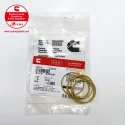 Cummins Coil 3330538