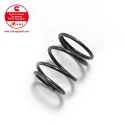 Cummins Torque spring 138784
