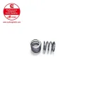 Cummins Torque Spring 3002054