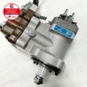 Cummins CR1600 Construction Machinery Pump P3973228