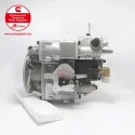 Cummins M11 Fuel Pump 4060237 3892658 XY93A01