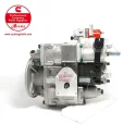 Cummins NT855 PT Fuel Pump 3165798 3021966 SQ39A03