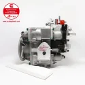 Cummins NT855 Fuel Pump 3165437 3019487 S572D04A