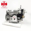Cummins NT855 Fuel Pump 3165468 3021966 CQ2036A