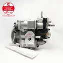 Cummins NT855 Fuel Pump 4060875 3021966 CQ2106