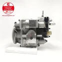 Cummins NTA855 Fuel Pump 3655889 3021961 S655A